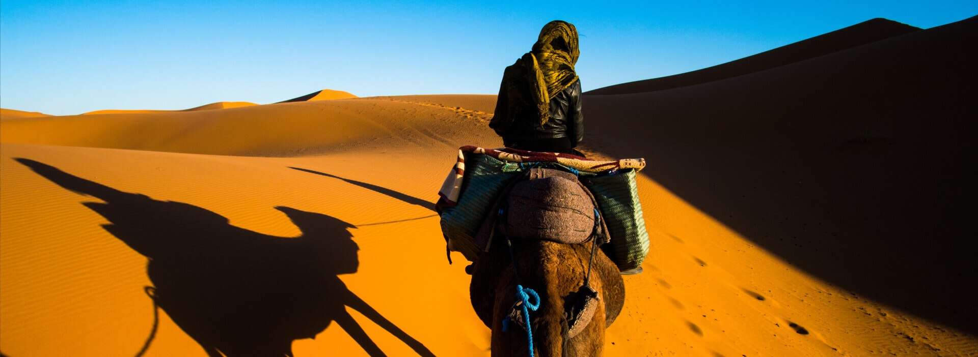 Camel Riding