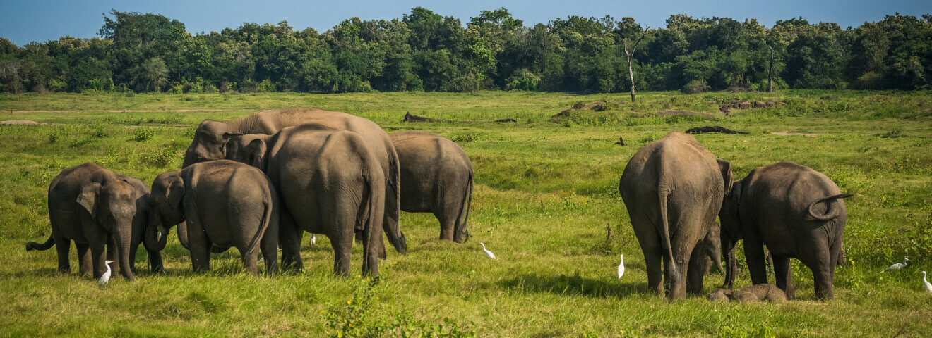 Komodo Park landscape