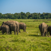 Komodo Park