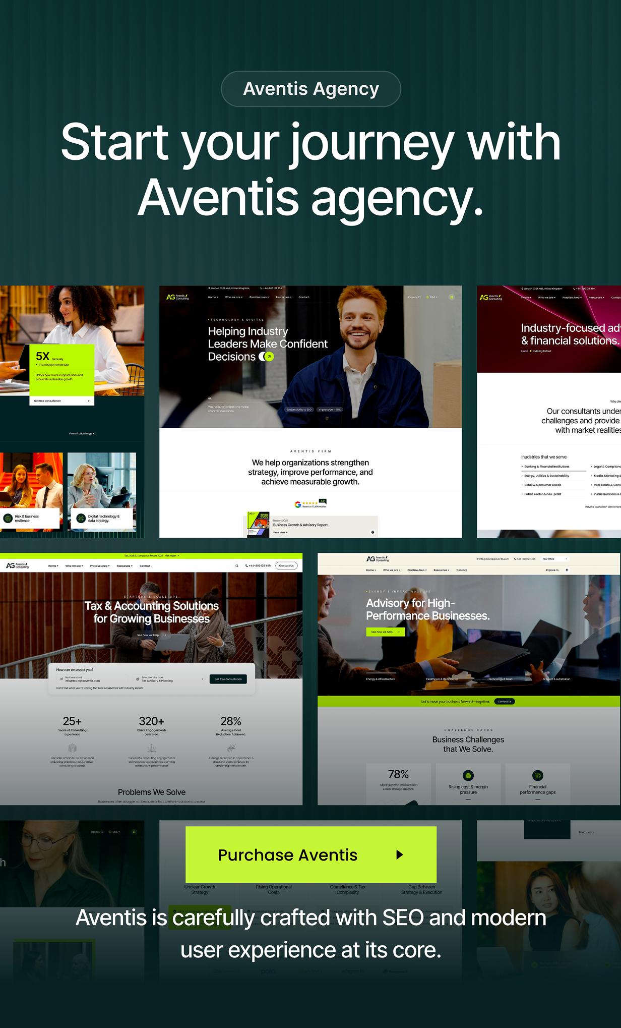 Aventis - Business Consulting WordPress Theme - 2
