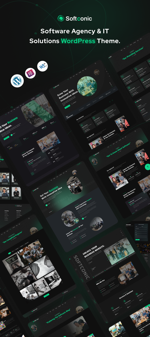 Softconic - Software and IT Solutions WordPress Theme
